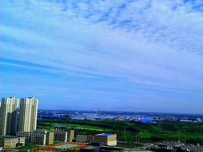 2021年南通通州区中小学学区划分